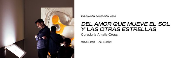 mssachile Profile Banner