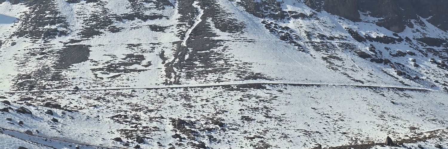 JacielCostaa's profile banner image