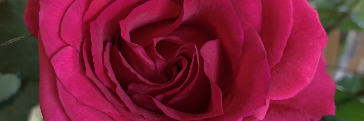 KarenontheBlock's profile banner image