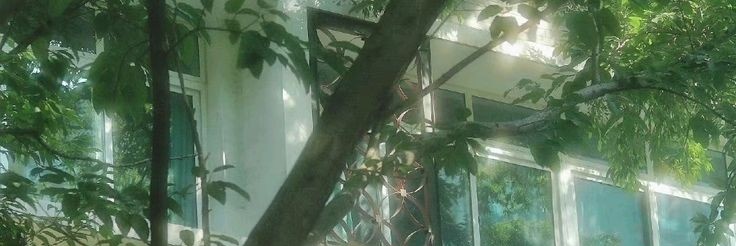 ᴹу banner