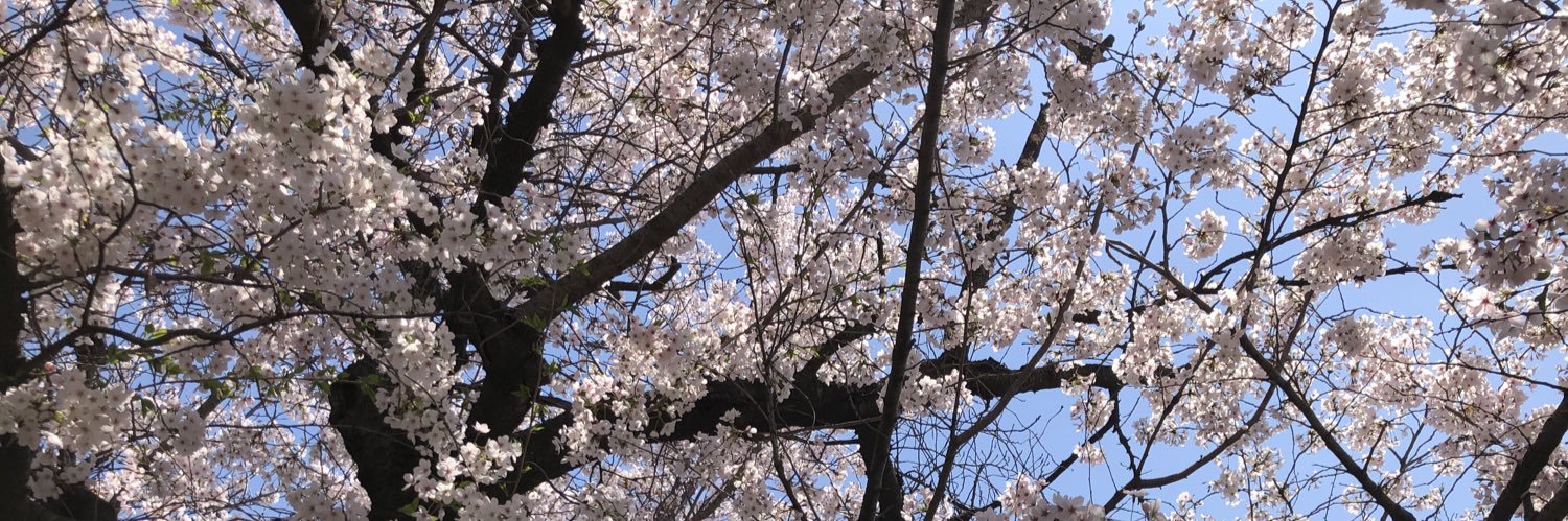 cho5pie's profile banner image