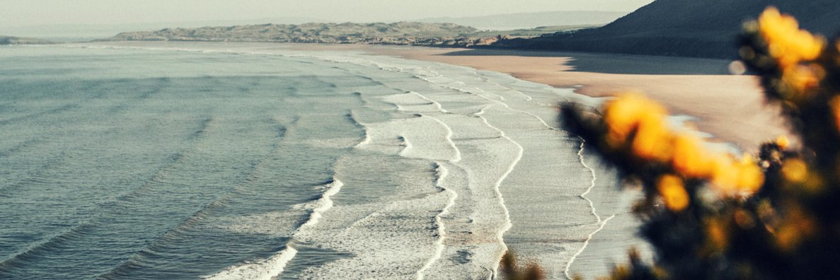 Alice Bourrouet banner