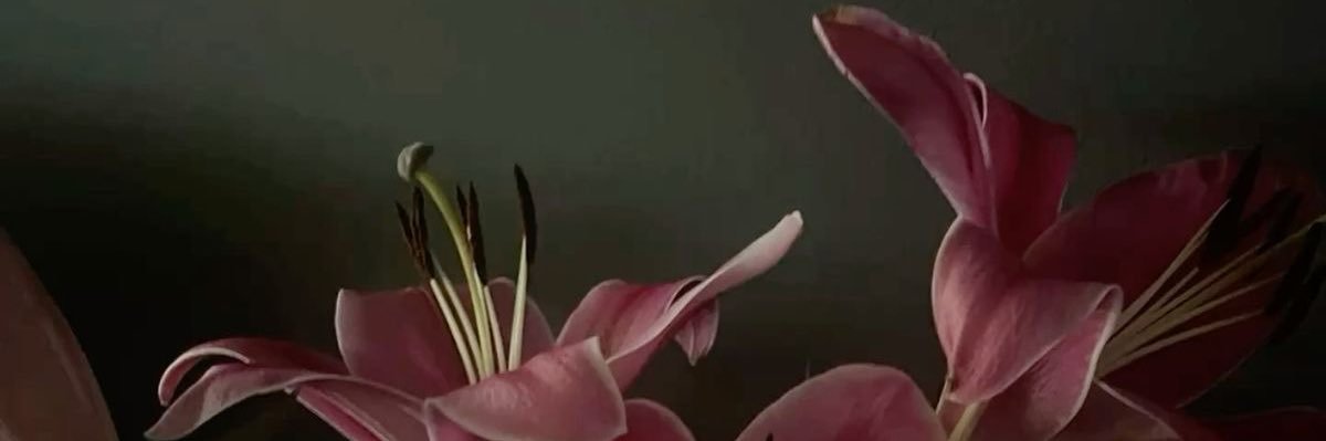 itsryms's profile banner image