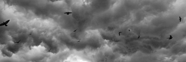 FavMach21 Profile Banner