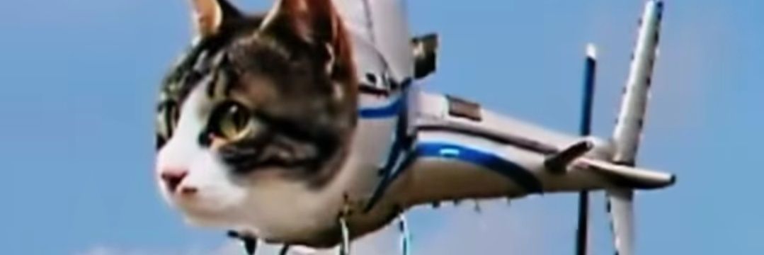 droluawp's profile banner image