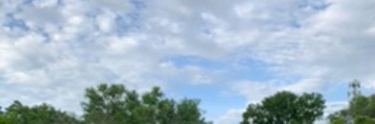 tazein's profile banner image
