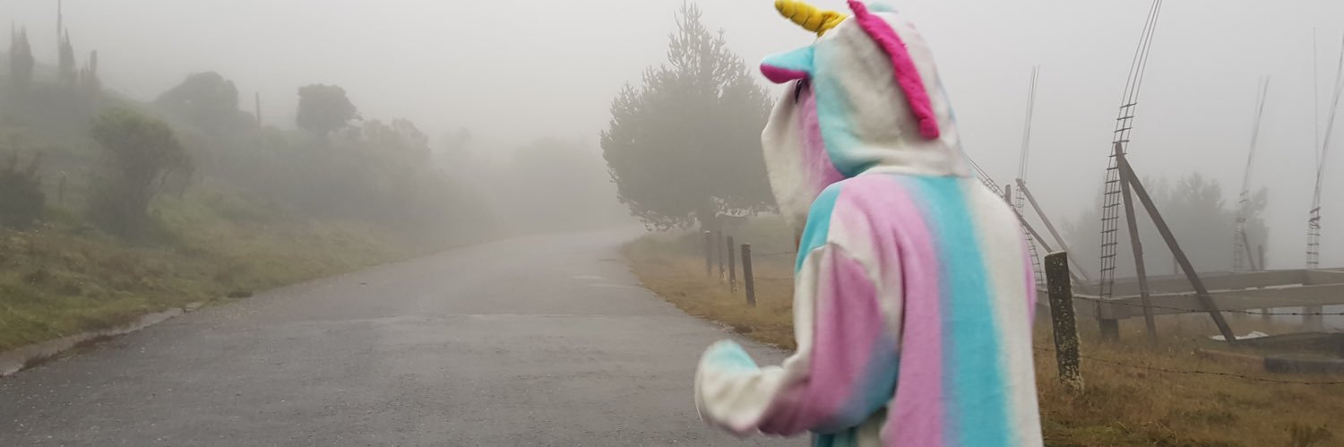 fernandical's profile banner image