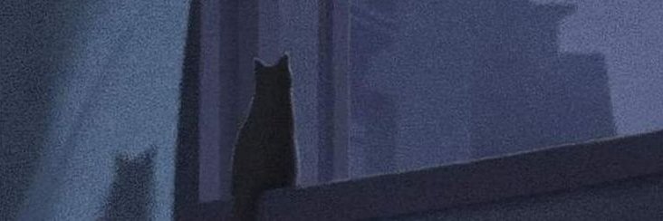 ᰔ peter .ᐟ.ᐟ 𐀔 banner