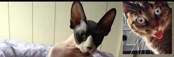 覚醒ホットドッグ松永じゅん banner