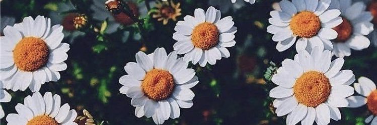 FerGarciarrivas's profile banner image