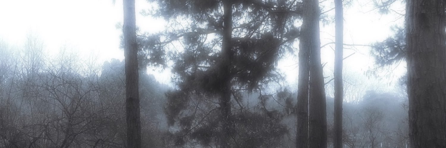 C-qqqqqssa's banner
