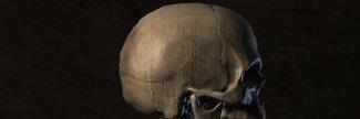 000 banner