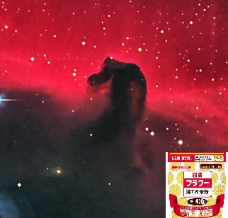 startrekgate's profile banner image