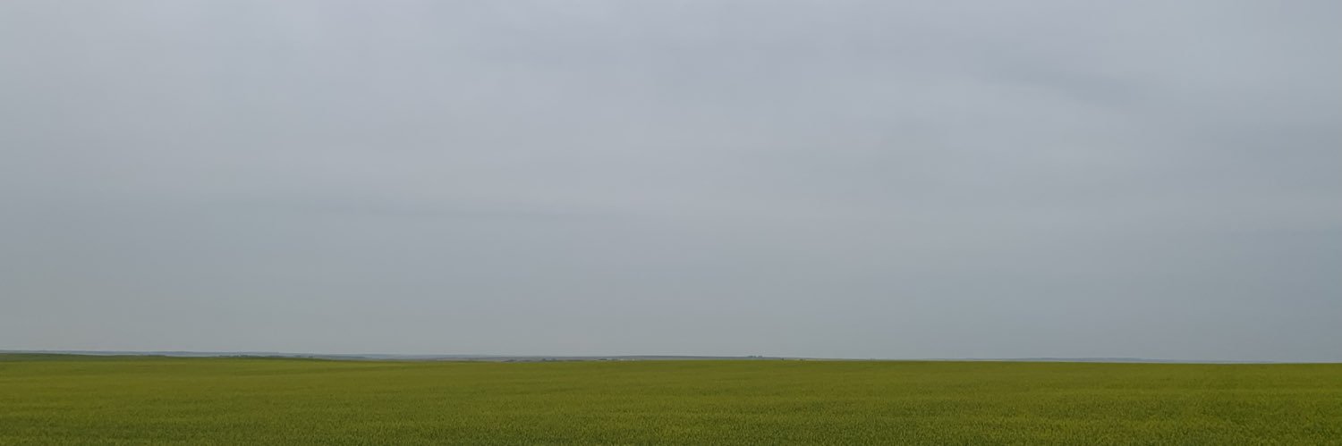 DavidStaplesYEG's profile banner image