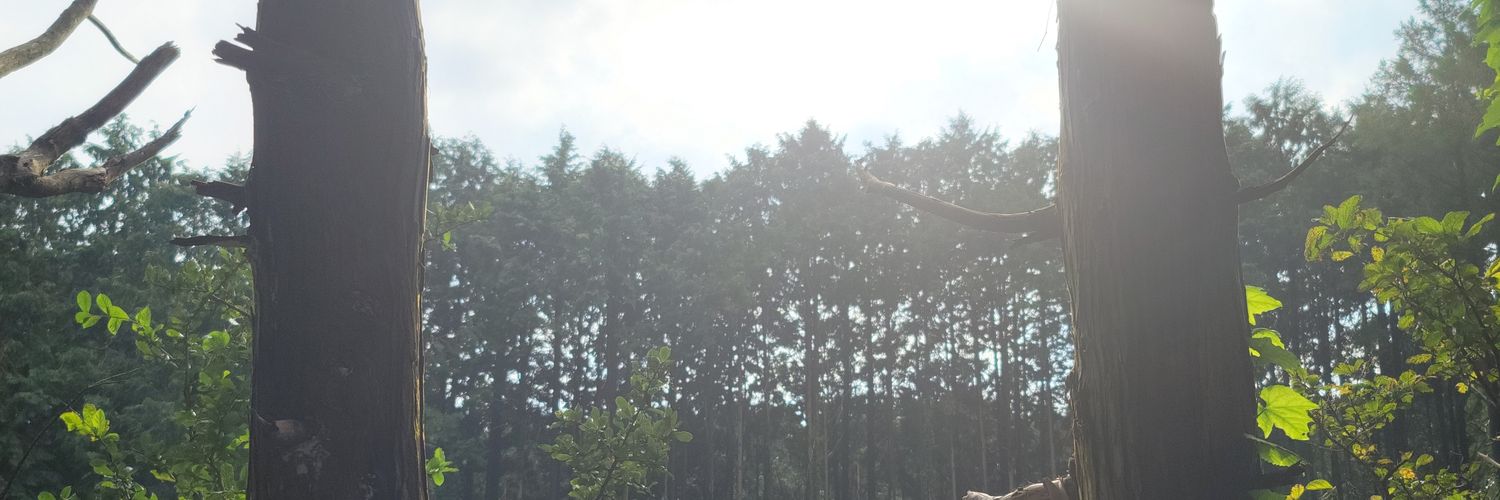 jLimm89's profile banner image