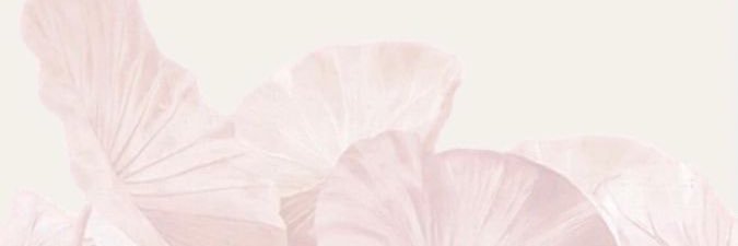 آنسة banner