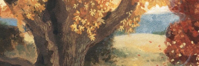 KaylaRDorminy's profile banner image