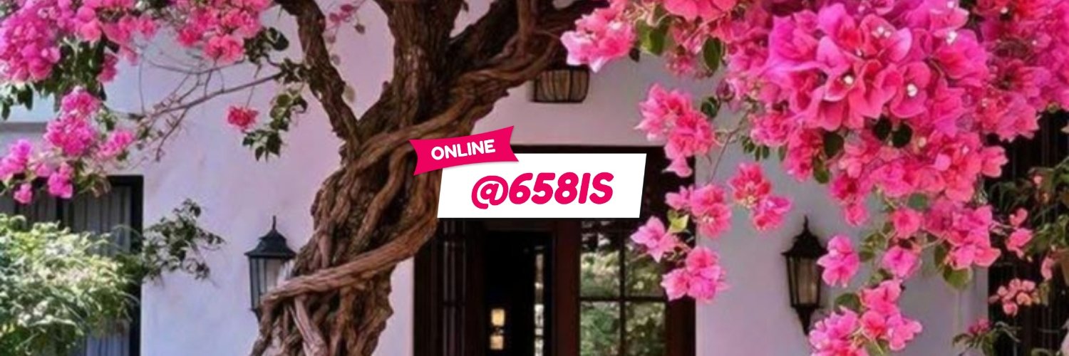 658IS's profile banner image