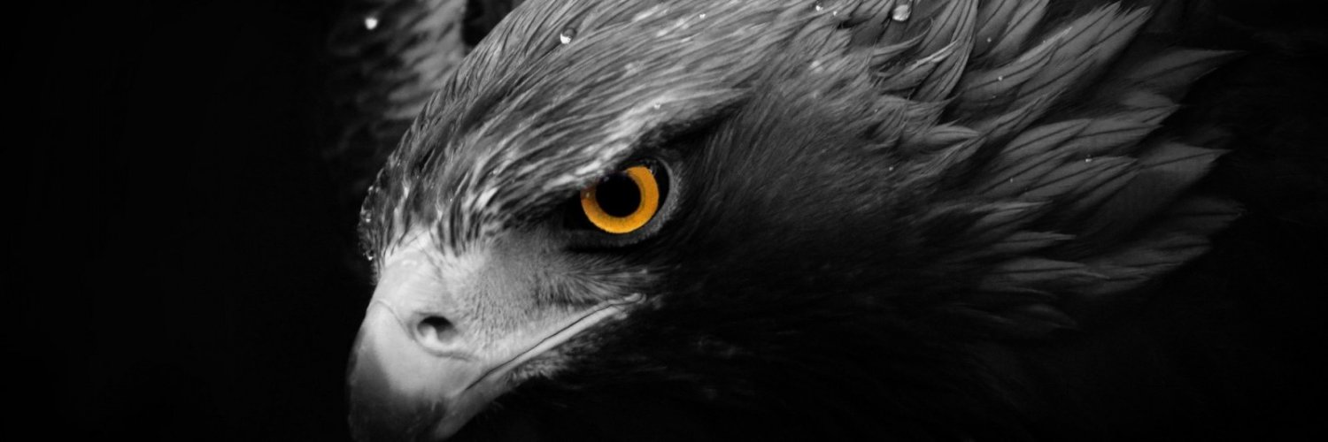 IsiAnchorena's profile banner image