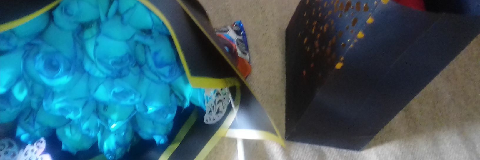 fily's banner