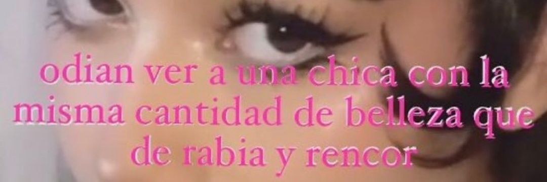 chulychicharron's profile banner image