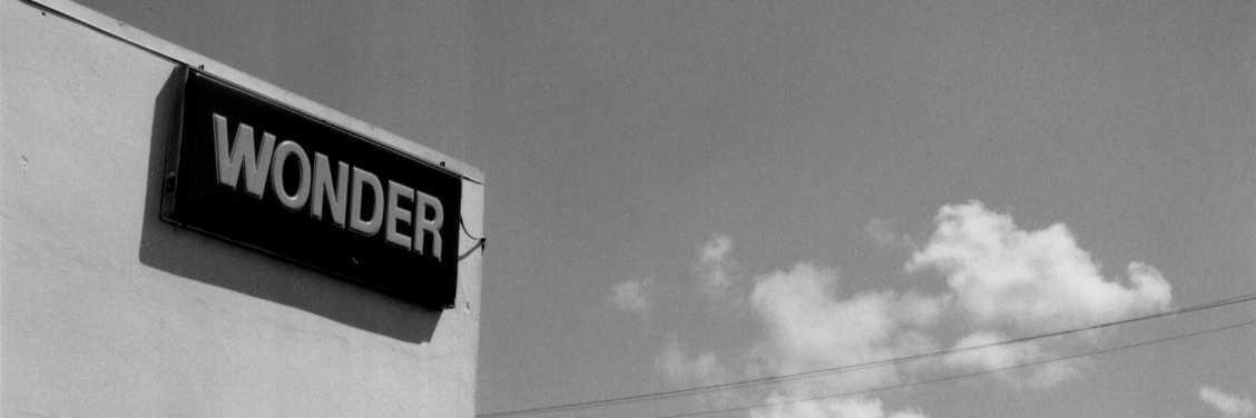 Emily Drevets banner