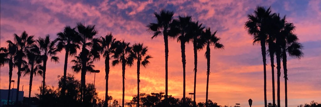 csemerdj's profile banner image