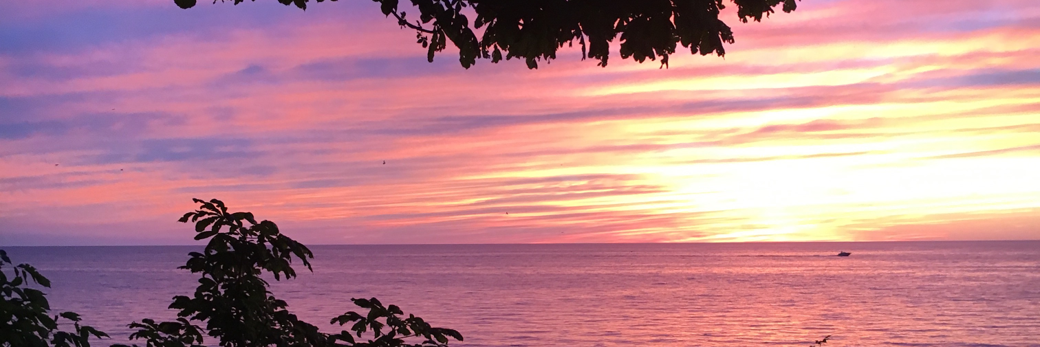 Luanne Zemanek banner