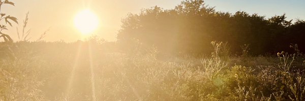 fancythis Profile Banner