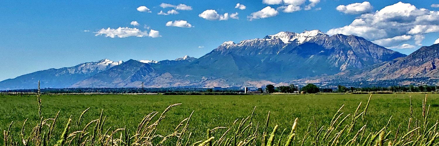 Utah County Sheriff's banner