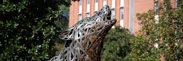 wolfalert Profile Banner