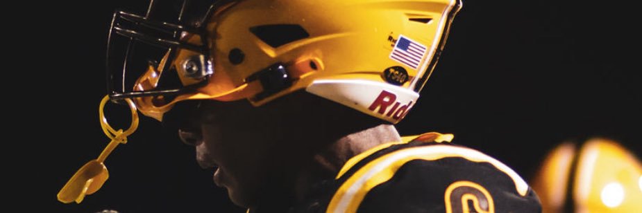 David Minisee banner