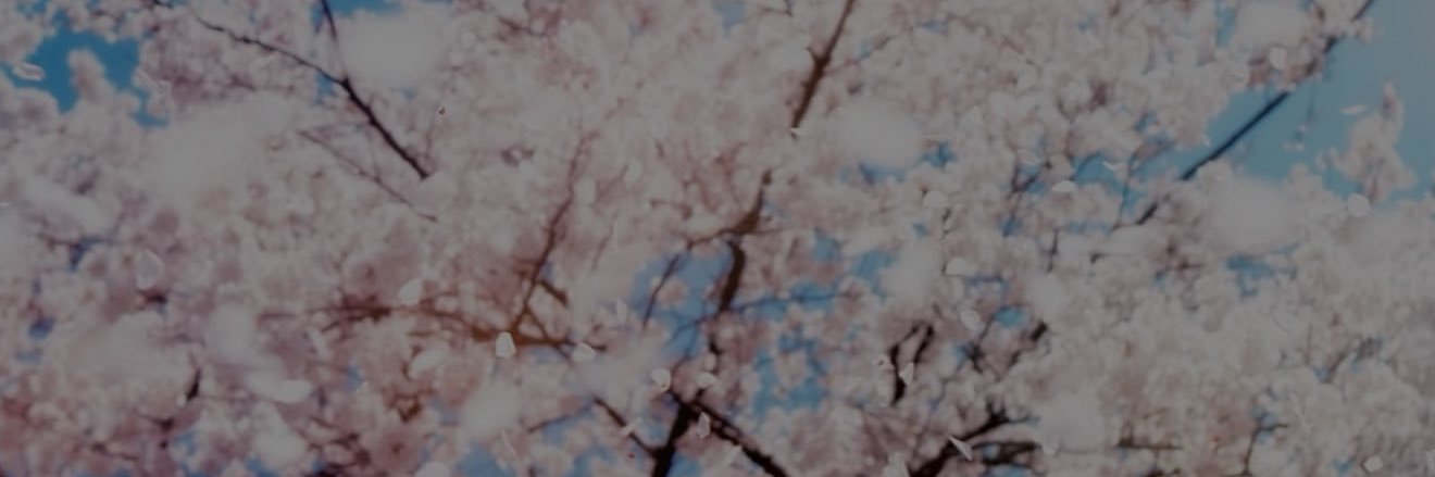 lolafatoola's profile banner image