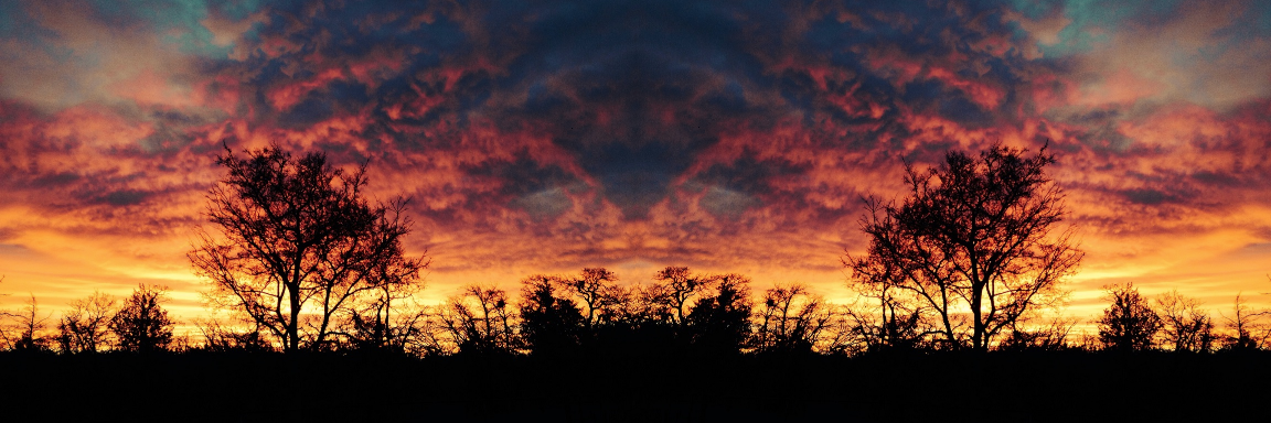 rmcok's profile banner image