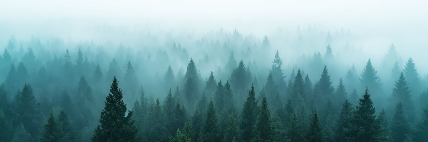 Black Forest Labs's banner