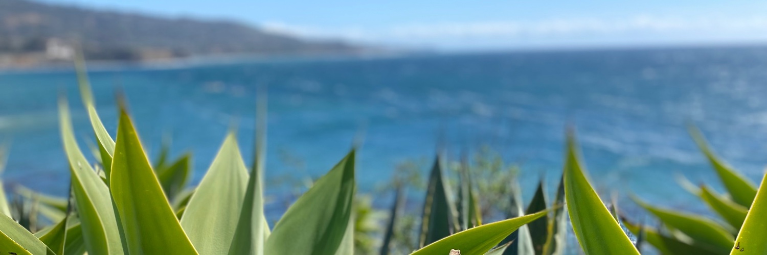 thomaslchristen's profile banner image