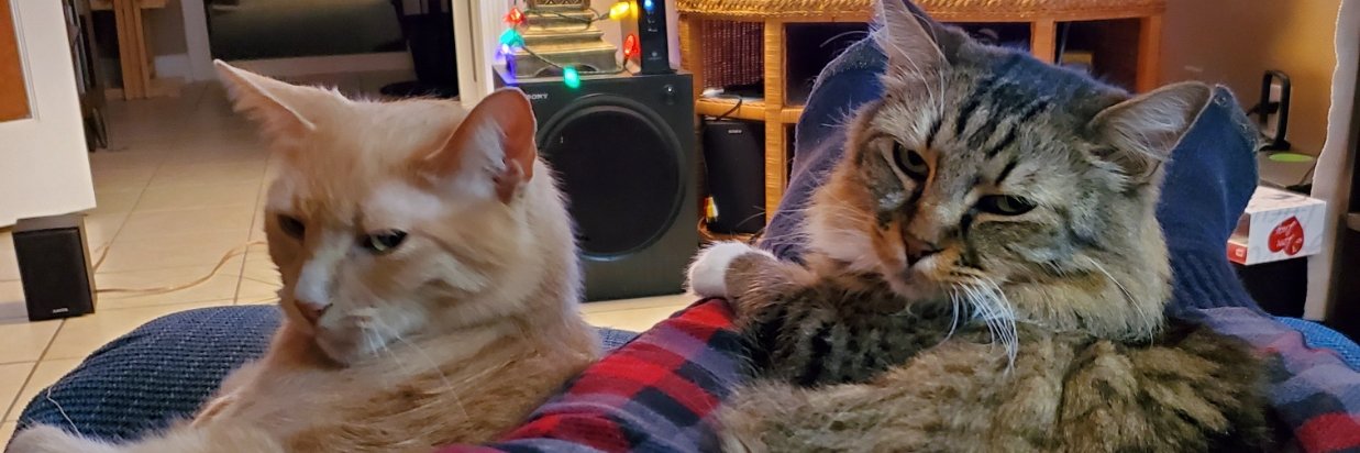 Robert Cakebread banner