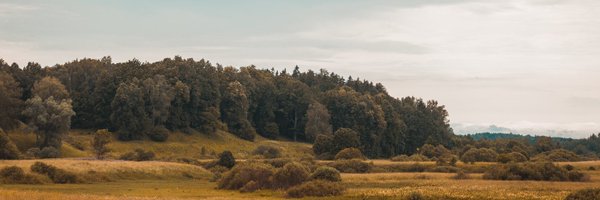 adrushya02 Profile Banner