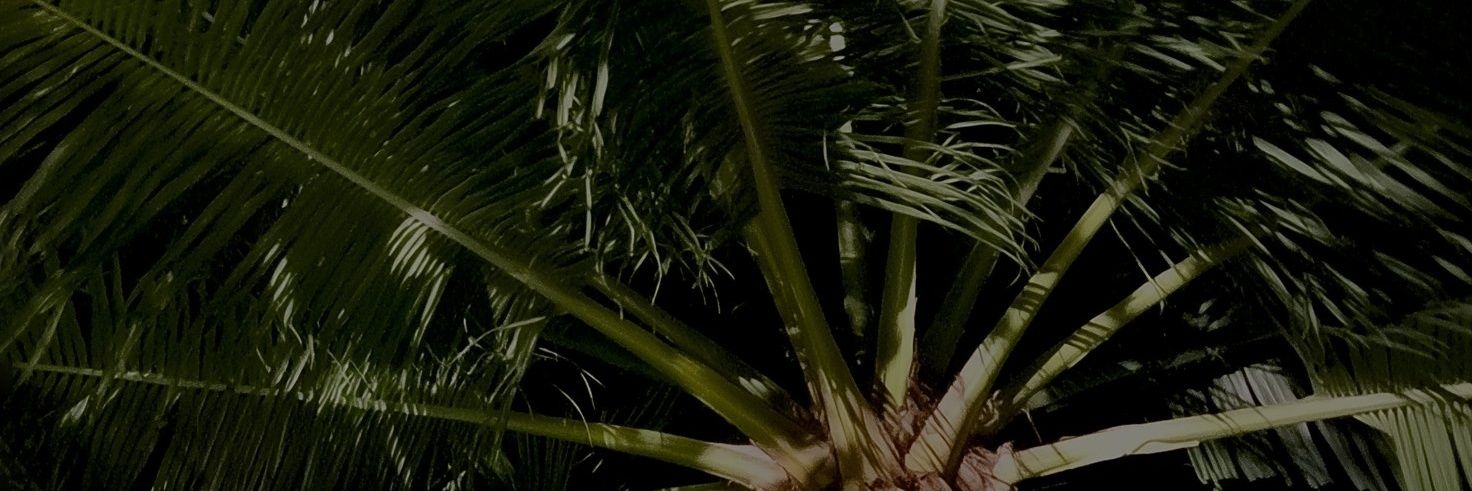 justanotheralter banner