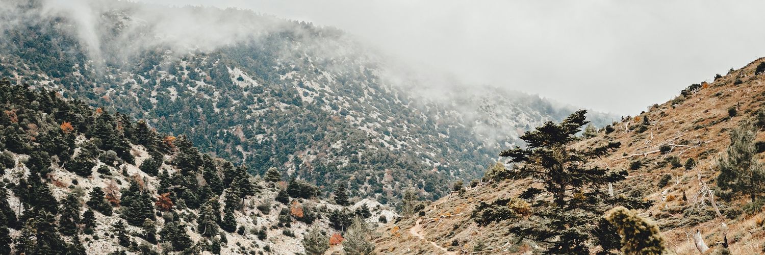 hellomrdavis's profile banner image