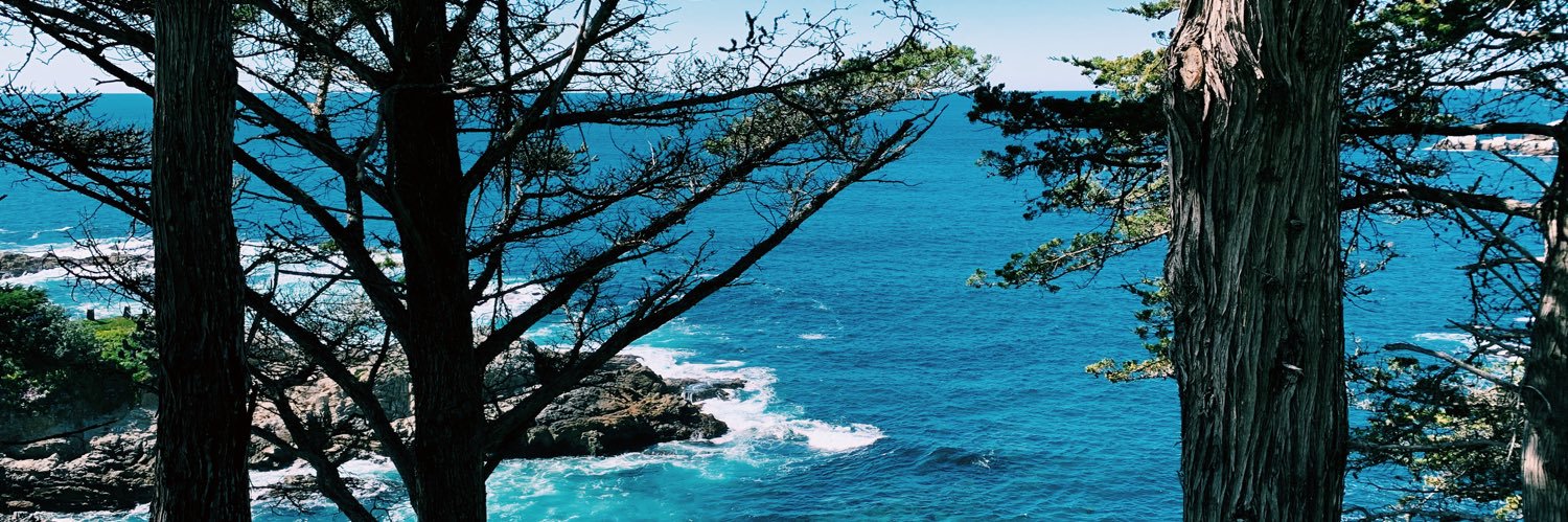 aeckman2's profile banner image