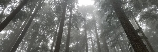 MLounds Profile Banner