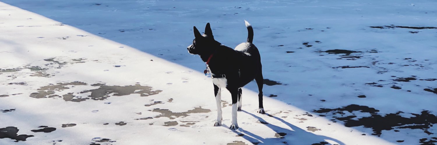 GodfreyMBakuli's profile banner image