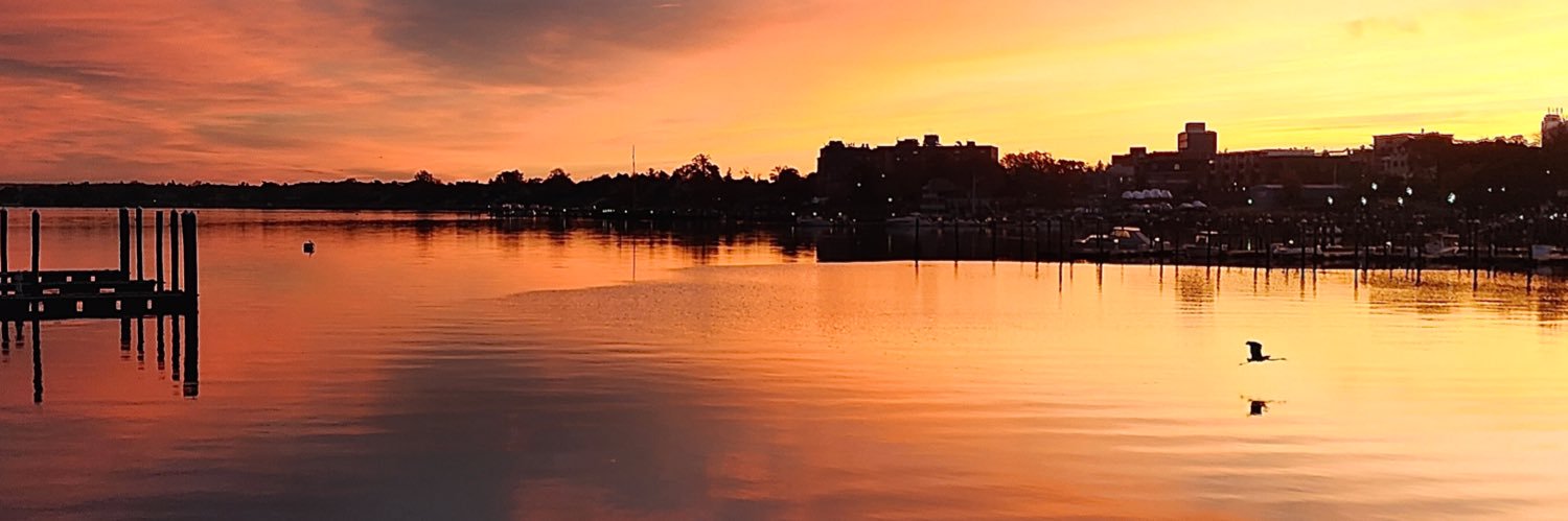 rogerfluet's profile banner image