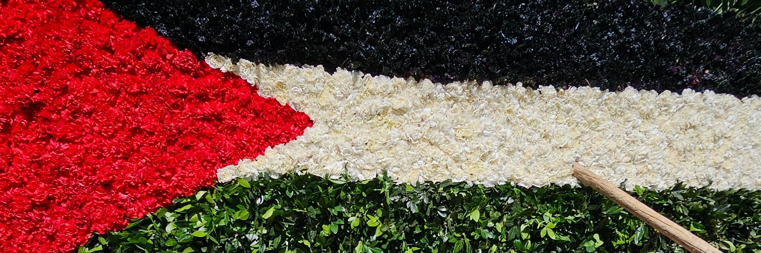 Embajada del Estado de Palestina en México's banner