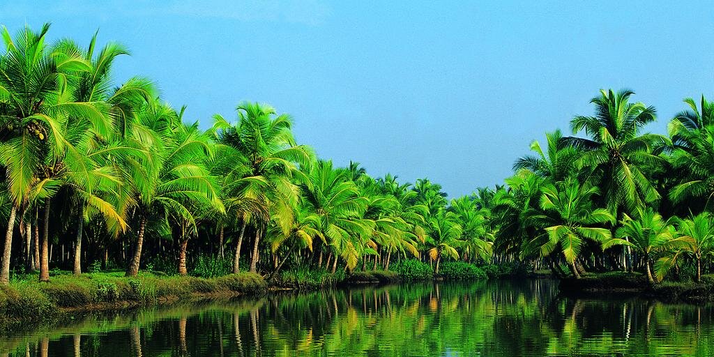 ratheesh49's profile banner image