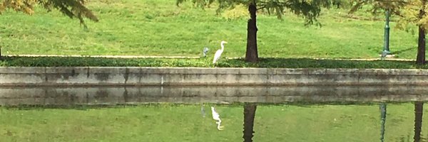 cmasick Profile Banner