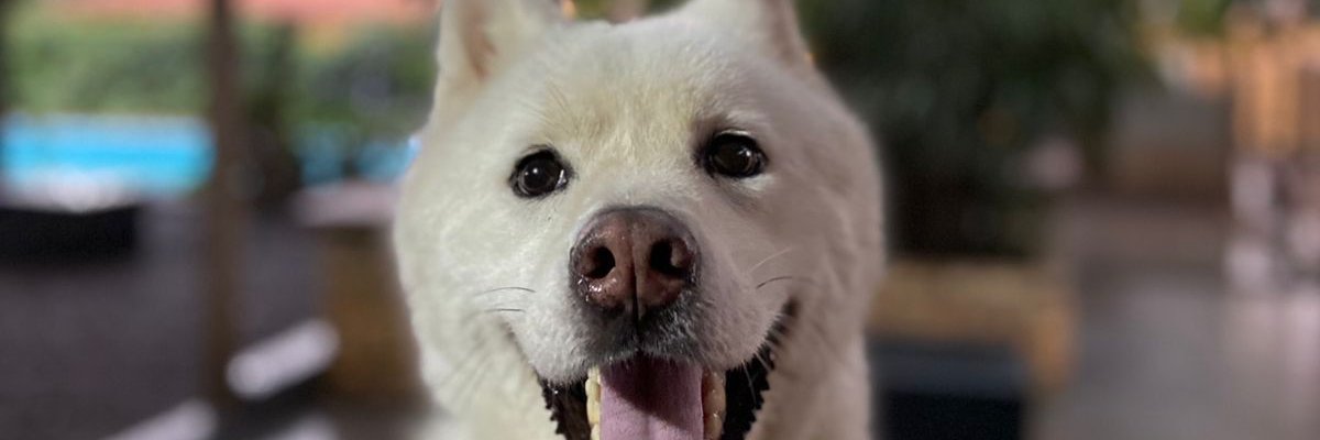 lhdzinnnn's profile banner image