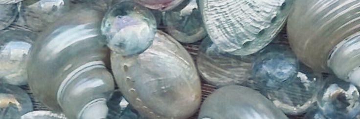 strabwies's profile banner image
