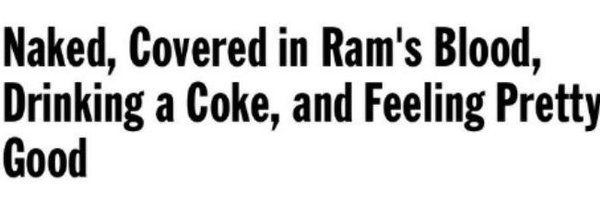 eeternalferret Profile Banner